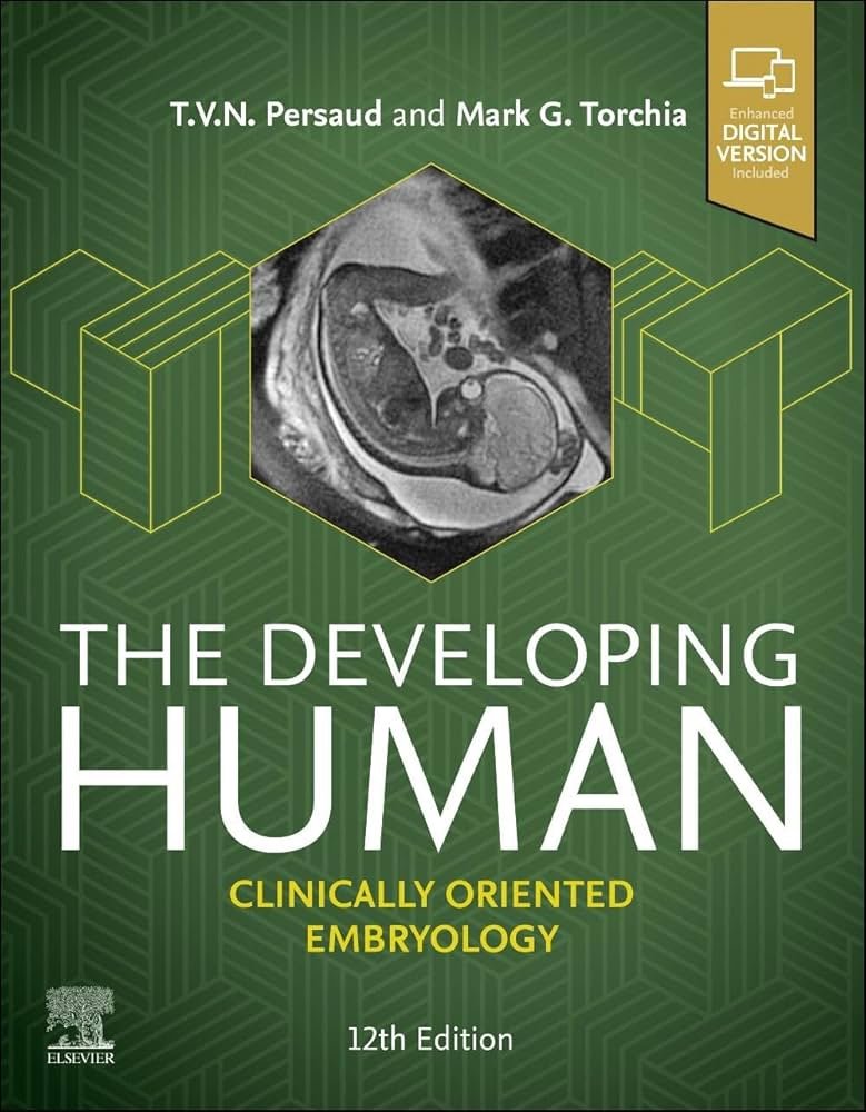 The-Developing-Human-Clinically-Oriented-Embryology-12th-Edition-X32mO